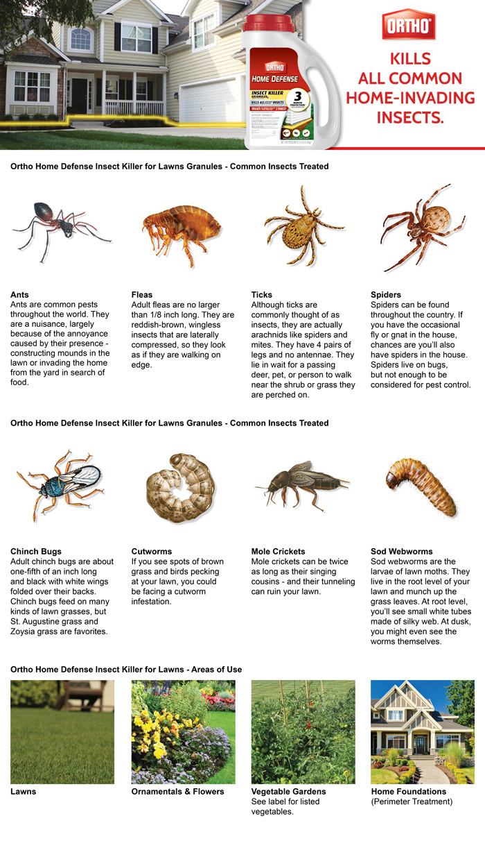 Ortho Home Defense Max 2.5 lbs. ReadytoUse Insect Killer Granules